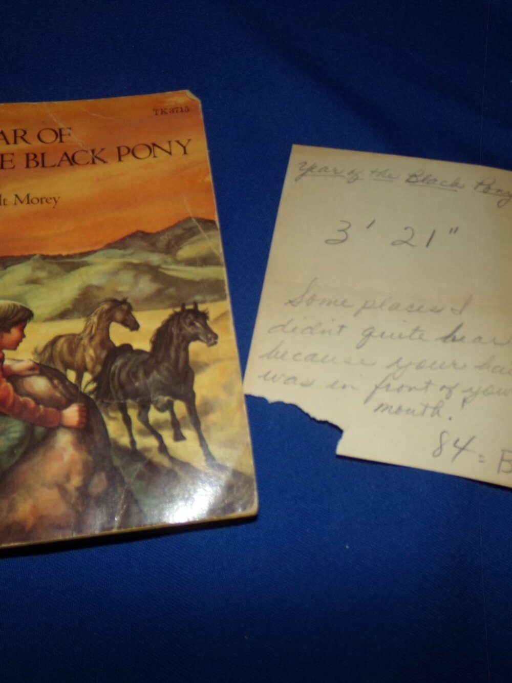 Vintage Paperback Book- Year of the Black Pony by Walt Morey w/Report Grade Slip